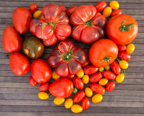 different varieties of ripe red and yellow appetizing tomatoes