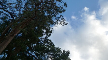 San Jose, Costa Rica