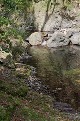 Scenery around Minoh Park in Osaka,Japan.The water in the river is clean. 