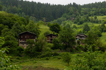 Unique mountain view in turkey with residential areas on it, perfect panoramic view filled with trees.