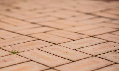 texture of red paving pedestrian tiles, narrow brick tiles