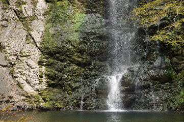 Fototapeta na wymiar Scenery around Minoh Park.　The name of the waterfall is Mino Otaki.