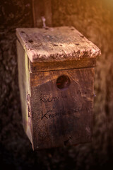 Vintage wooden birdhouse Dark forest background