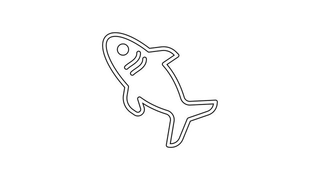 Black line Shark icon isolated on white background. 4K Video motion graphic animation
