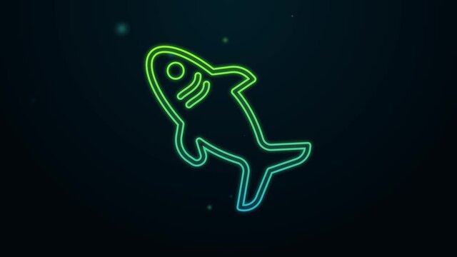 Glowing neon line Shark icon isolated on black background. 4K Video motion graphic animation