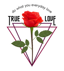 Geometric silver and rose shape with on white background. Design for t-shirt screen printing. Vector Illustration