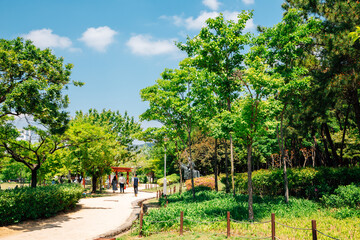 Fototapeta na wymiar Spring of Bonghwangdae Park in Gimhae, Korea