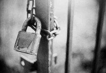 Gate closed on the lock on a rusty chain. A gate closed on the lock.