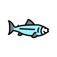 fish ocean color icon vector. fish ocean sign. isolated symbol illustration