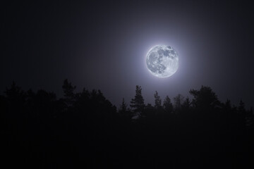 Fototapeta na wymiar Leuchtender Mond bei Nacht