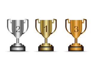 The trophies that are lined up with the championship level are in the cup bowl