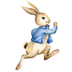 Watercolor  running Rabbit illustration, cute rabbit