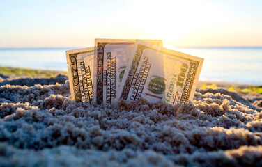 Three dollar bills are buried in sand on sandy beach near sea at sunset dawn