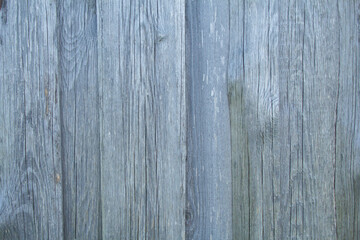 A wall of five yellow, pine planks jointed and hammered together. The boards are not finished, rough and rough. The surface is not painted or planed. Arranged vertically.