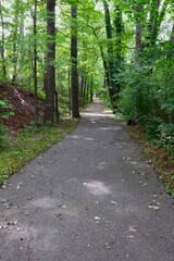 Paved Path Through Woods