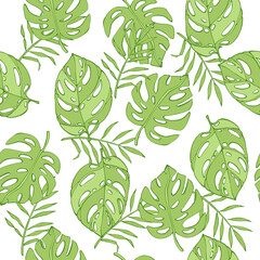 Natural seamless pattern with green tropical palm leaves on white background. Backdrop with foliage of exotic trees growing in jungle. Vector illustration for textile print, wallpaper, wrapping paper.