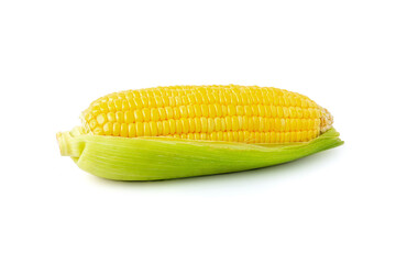 Fresh sweet corn with husk isolated on white background