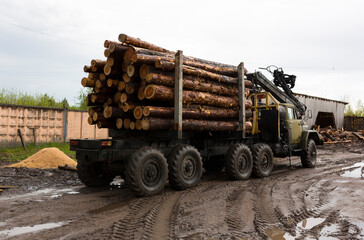 Transportation of wood on a truck. Industrial truck for transporting timber. Renewable natural resources. timber machine. Timber export and shipping concept. 