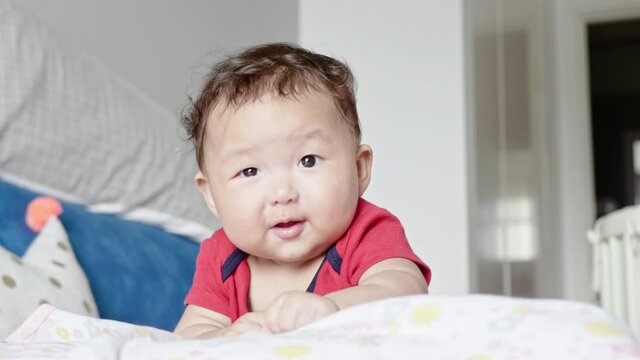 Cute mixed Asian baby girl try hard to crawl whilst lying on her stomach.