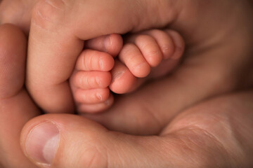 Children's feet in hold hands of mother and father. Mother, father and Child. Happy Family people concept.