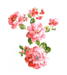 Flowers watercolor illustration.Manual composition.Big Set watercolor elements，Design for textile, wallpapers，Element for design,Greeting card