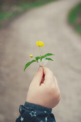 Blumen in der Hand eines Kindes. gelbe Blume