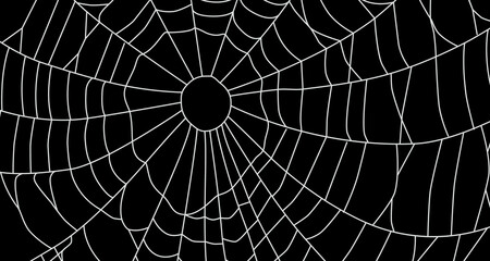 Cobweb, isolated on black background.