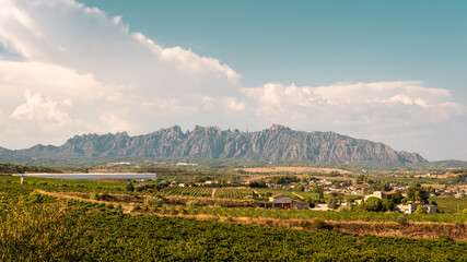 Vineyards of Masquefa with Montserrat mountain range in the background, Catalonia, Spain