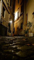 Street in Lucca at night