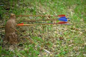 collection of bright colorful professional archer arrows inserted into decorative bird target , close up 