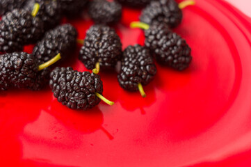 Ripe large black mulberries on a red plate, close-up.
