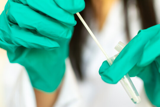Close-up of a female medical worker wearing green surgical gloves placing a sample of a nasopharyngeal drape in contact with the reagent before it is placed in the covid-19 antigen diagnostic