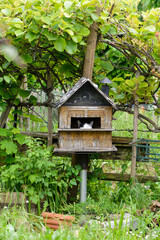 Chat, Jardins ouvriers, Parc Départemental des Lilas, Vitry sur Seine , 94, Val de Marne