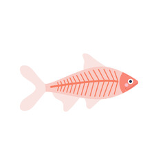 Cute X-ray fish on white background in cartoon flat style. Vector simple illustration