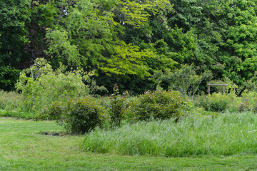 Parc Départemental des Lilas, Vitry sur Seine , 94, Val de Marne