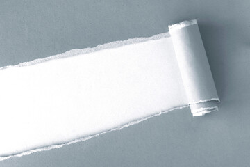 Torn paper roll with opening showing white background, Ripped gray cardboard with space for text