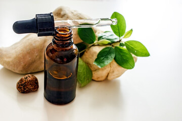 Natural wellness cosmetics background. Glass cosmetic bottle with a dark glass pipette on a background of stones and branches of greenery, copy space
