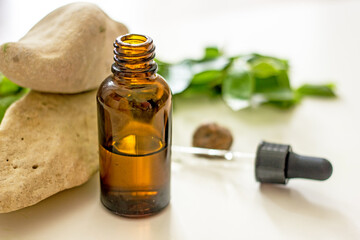 Natural wellness cosmetics background. Glass cosmetic bottle with a dark glass pipette on a background of stones and branches of greenery, copy space