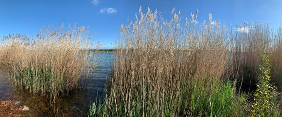 Zwenkauer See