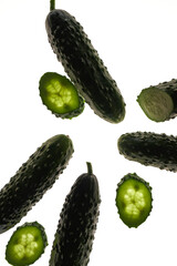 Set of fresh whole and sliced cucumbers on white background. Garden cucumber green wallpaper backdrop design