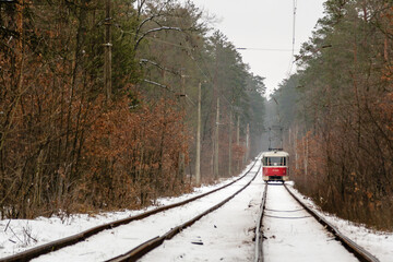 rushing tram through the winter forest