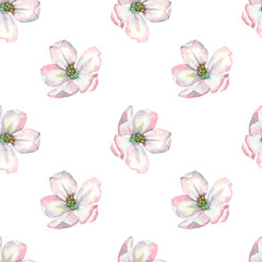 Floral seamless pattern for printing. Blooming apple tree.
