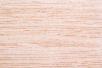 Wood texture of bark wood use as natural background and light wood 