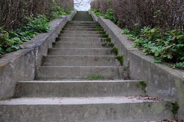 Old mossy concrete steps leading up. Ladder up.