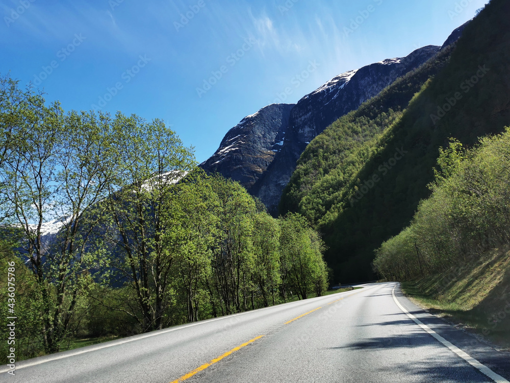 Poster Scenic shot of a road that separates a hill forest with a mountain on the background