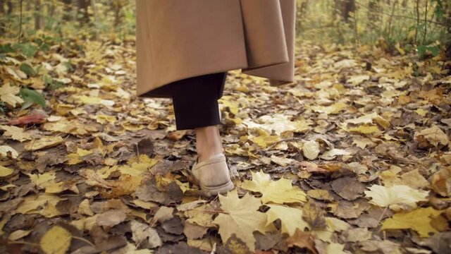 Legs of woman walking in autumn park. Black african american student tourist walk in forest trail.