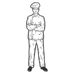 Obraz premium Man, cook in uniform. Sketch scratch board imitation color.