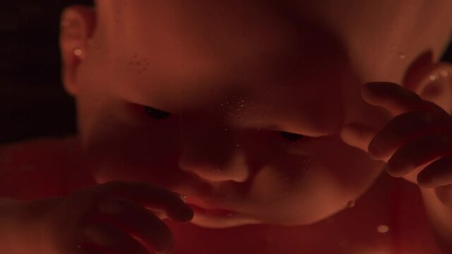 Human baby in a female womb. Embryo development during pregnancy. Imitation with a doll.