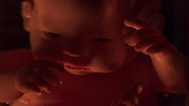 Human baby in a female womb. Embryo development during pregnancy. Imitation with a doll.
