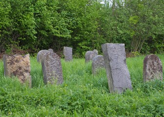 Old Jewish cemetery in Bodzentyn. Poland